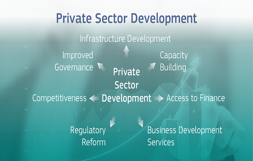 The National Strategy for Private Sector Development