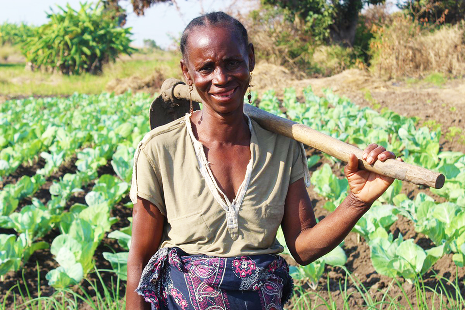 Accelerating the Rise in Contraceptive Prevalence in Uganda (ARC) Programme: A Social Return on Investment Analysis