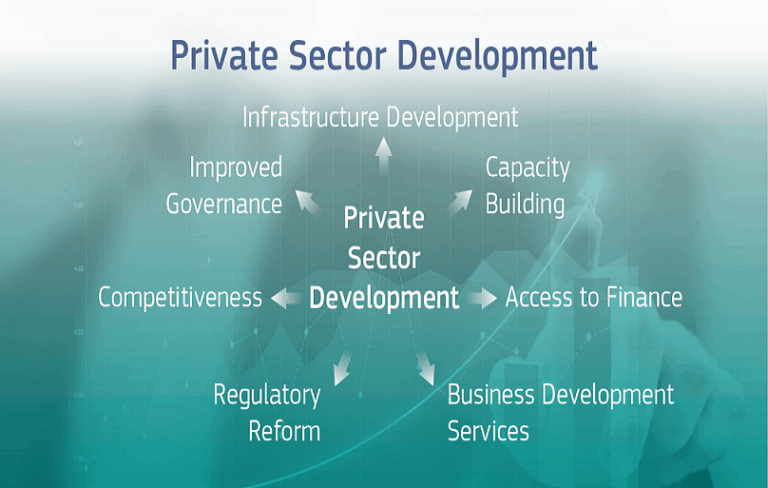 The National Strategy for Private Sector Development